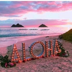 Meet your Posher, Lola